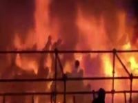 Ölümden kaçış!!! (Videolu)