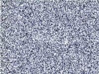 RİK'e arap paraziti