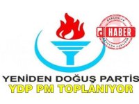 YDP MYK, Parti Meclisi'ni toplantıya çağırdı