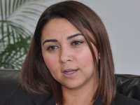 Ayşegül Baybars: İhalesiz Fiber Optik kablo anayasa mahkemesinden döner