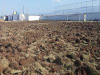 Yalova sentetikte hazırlanacak