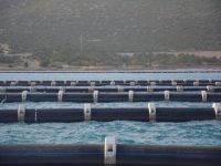 “Turkcell Platinum ayrıcalığı fark yaratıyor”