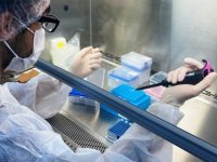 Beyin iltihabını azaltan burun spreyi geliştirildi: Hafızayı geri kazandırabilir