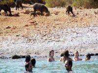 Bodrum ne hale geldi?