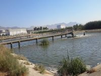 LTB sinekten yağ çıkarıyor!