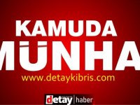 İhtiyat Sandığı, Sözleşmeli Yazılım Geliştirme Uzmanı alımı yapacak