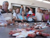 ''Altın'' kadar kıymetli balık