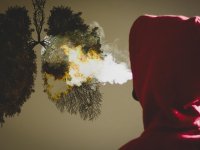 Tabipler Birliği: Akciğer kanseri hâlâ en çok can alan kanser türü