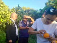 İŞAD, Akçay köyünde incelemelerde bulundu!