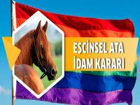 "Eşcinsel atı" idam ettiler