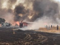 Çınarlı yangınının verdiği zarar belli oldu