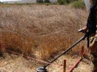 Ara bölge mayınlardan temizlendi