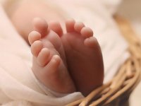 İngiltere'de 7 aylık bebek ailesinin köpeğinin ısırması sonucu hayatını kaybetti