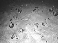 Doğu Akdeniz’de tarihi değiştiren keşif! Tunç çağından kalma 3 bin yıllık kargo