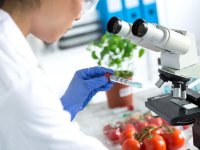 Gıda Mühendisleri Odası: Güvenli gıda, sağlıklı hayvanla başlar