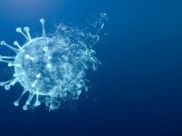 Bilim insanları, bazı kişilerin neden COVID olmadığını buldu