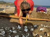 İşte 2024’ün ilk yavru kaplumbağaları