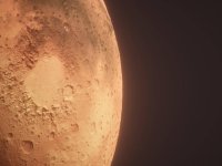 Mars'ta hayatta kalabilecek bir bitki bulundu