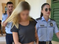 Sahte kuduz belgesiyle ülkeye kedi getirdi!