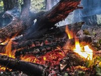 31 Ekim’e kadar her türlü ateş yakmak yasak