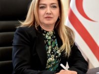 Ombudsman Varol: Nakil dışı görevlendirmelerde yetki aşımı yapıldı