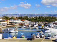 Polonyalılar Baf'ı tercih ediyor