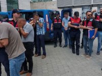 Sahte KKTC ehliyeti operasyonunda 4 kişi gözaltına alındı