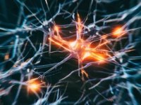 Alzheimer'ı erken teşhis edebilen yapay zeka geliştirildi