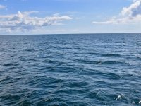 Sağlık Bakanlığı: Deniz suyu analiz sonuçları temizdir