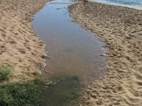 Hasan Sarpten: Kirli plajların ikinci numunelerinin "temiz" çıktığını hiç utanmadan açıkladılar