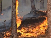 Dikkat! Yangın riski !