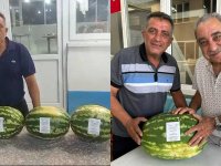 Denizli’de para etmeyen karpuz, düğün davetiyesi oldu; tam 6 ton dağıttı