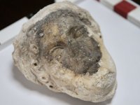 Fethiye Kalesi kazılarında Apollon'a ait heykel başı bulundu