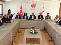 Erhürman: Bu yapılanlar Meclis'e darbedir