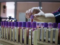 Thalassaemia Derneği: Thalassaemia doğumları son dönemde yeniden başlamıştır