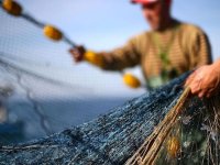 Su ürünleri dönemsel av yasakları konusunda bilgilendirme yapıldı