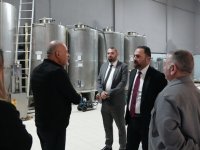 Çavuş: Zeytin ve zeytin yağı sektörü daha ileriye taşınabilir