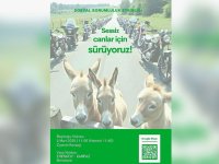 Motosikletliler Karpaz’daki Eşekler için farkındalık sürüşüne çıkıyor!