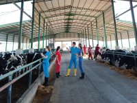 Veteriner hekimliği dünyası KKTC’de buluşacak!