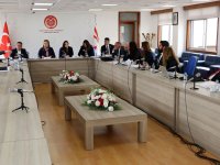 Ekonomi, Maliye, Bütçe ve Plan Komitesi, 3 yasa tasarısını görüştü