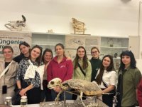 Polonya’dan geldiler, müzelere hayran kaldılar!