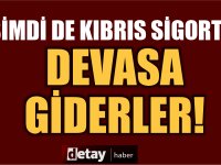 Kıbrıs Sigorta'da Yönetim Krizi: Devasa Giderler, Düşük Kar!