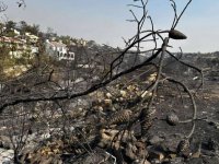 Limasol yangınının maddi hasarı 70-100 milyon Euro arasında: Adanın yüzde 1,3'ü yandı