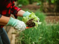 Zirai ilaçlamaya dikkat: “Sadece zararlılar değil, ekosistem de ölüyor!”