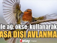 Kızıl Gerdan kuşunu yasak yöntemlerle avlarken yakalandı