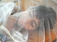 Dang humması can alıyor