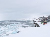 Grönland kime ait, Trump neden adaya ilgi gösteriyor?