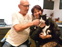 İspanya'da kaybolan kedi, dört ayda 250 kilometre yürüyüp Fransa'daki sahibine ulaştı