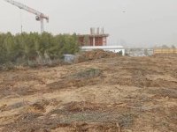 Yeşil Barış Hareketi: İskele’de denize sıfır 21 dönüm orman rant uğruna yok ediliyor