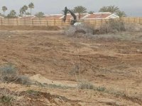 CTP Gençlik Örgütü: İskele’de ağaç kesimi yasaklı arazide inşaat izni verildi, 10 dönüm alan tahrip edildi!